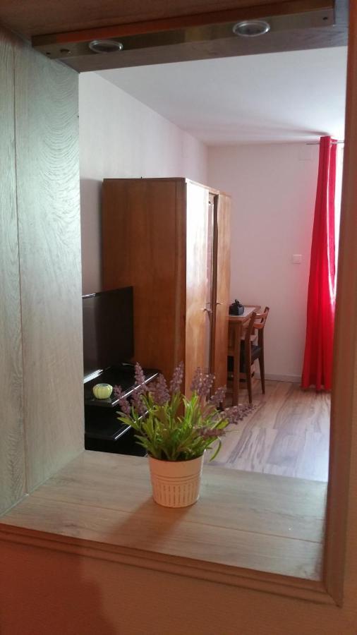La Roseraie Apartment Epinal Luaran gambar